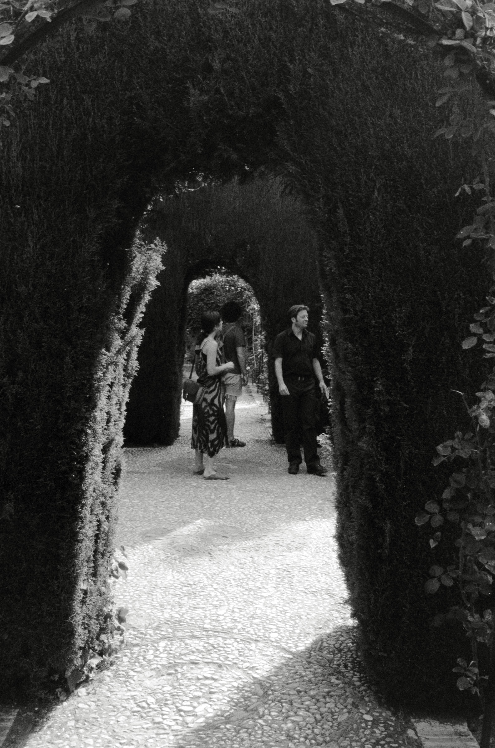 AHP F2001 07 002 sc240901 img03 NLP